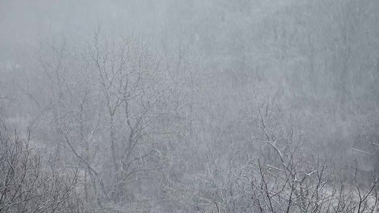 Blizzard in the winter.