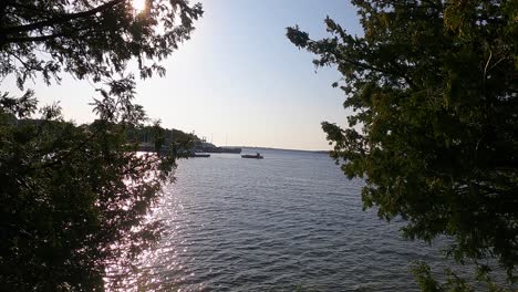 fixed shot of magnificent huron lake through green vivid trees, tobermory, canada