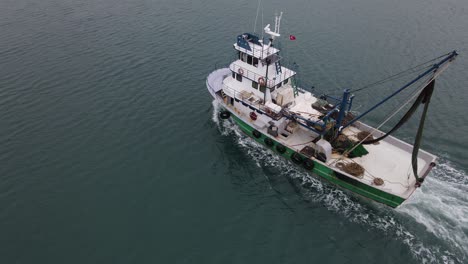 barco de pesca blanco