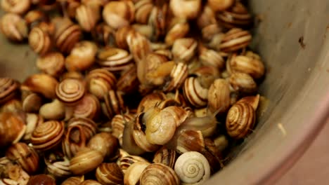 Zoom-En-Vista-De-Caracoles-Escargot-Vivos-Y-Arrastrándose-En-Un-Tazón-En-El-Mercado-Local-De-Valencia-España-Europa