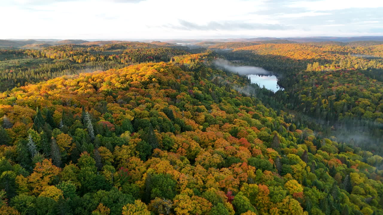 Drone view of a colorful autumn forest with mountains, lake, and river at sunrise in Mauricie, Quebec, Canada. Warm morning light highlights vibrant fall foliage and peaceful landscape