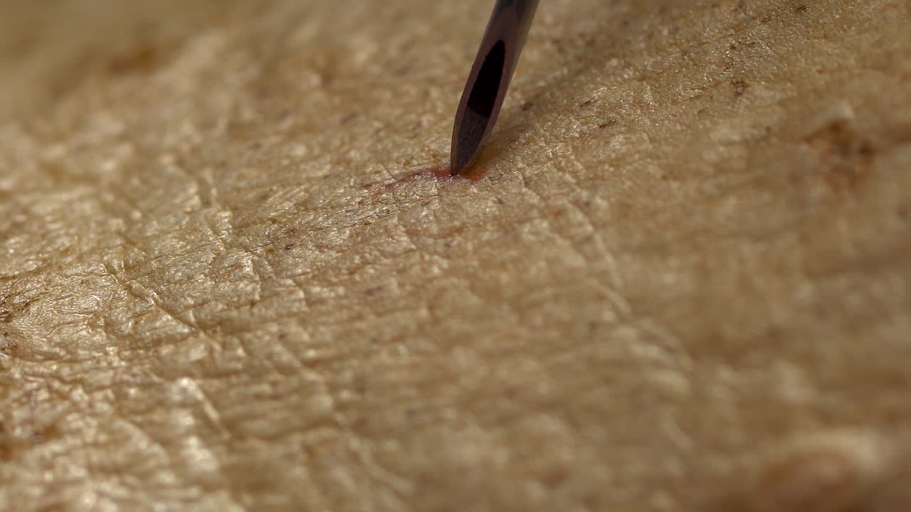 Close-up of a Needle Puncturing Skin