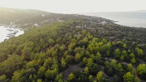 Evergreen-Pine-Trees-Around-Church-Ruins-Near-The-Venetian-Lighthouse-Of-Fiskardo-In-Kefalonia-Island,-Greece