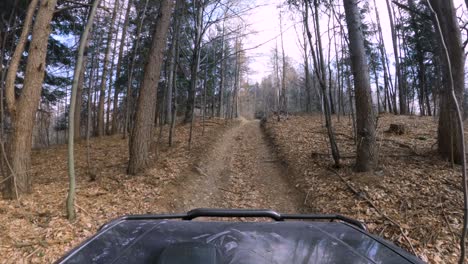 mitshubishi pajero 4x4 off-road ride in stunning autumn forest - gopro 4k window view