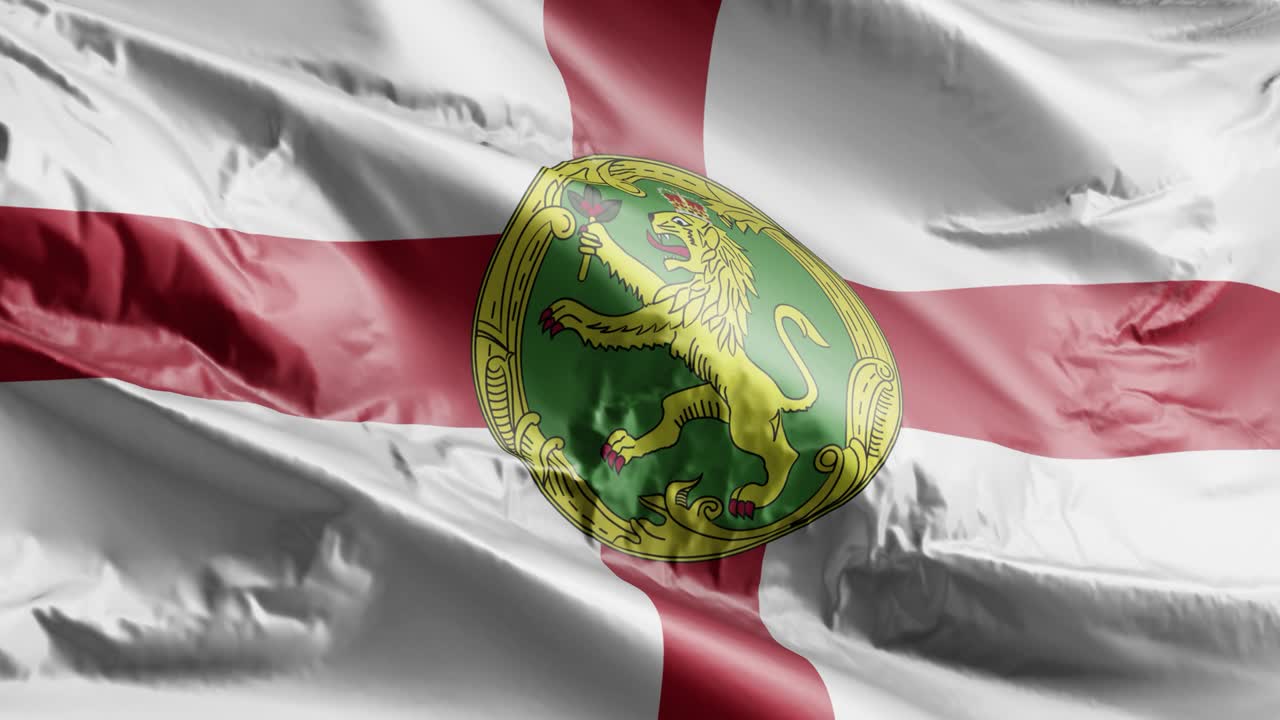 바람의 루프에 alderney 발을 흔들고, 바람에 alderney의 발이 흔들리고, 완전히 채워진 배경, 10 초 루프.