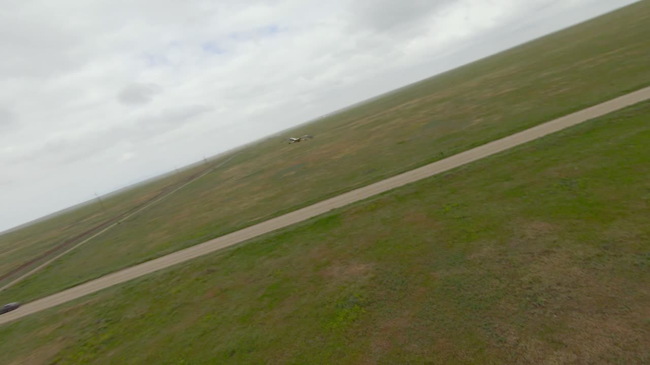 птица в полете над сельской дорогой