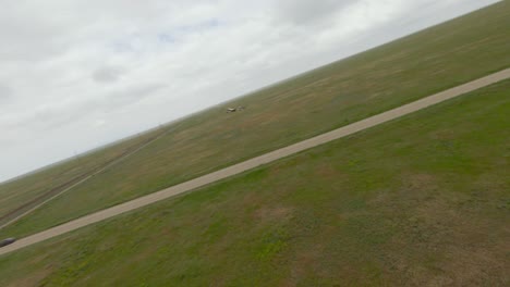 bird in flight over a country road