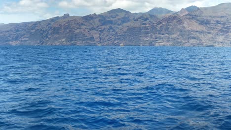 Close-encounter-with-Bottlenose-Dolphins-in-Tenerife