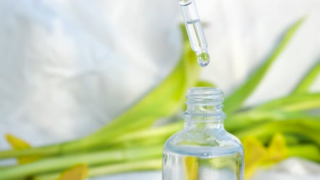 botella de gotero con líquido transparente y aloe vera