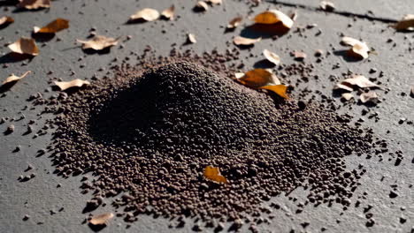 pile of soil or ant hill with fallen leaves