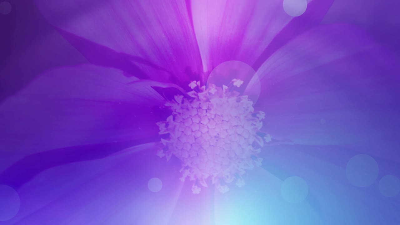 diseño floral brillante y colorido