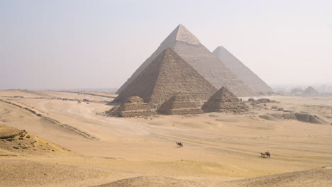 camel ride across the desert of giza plateau pyramid complex in giza, egypt. wide shot