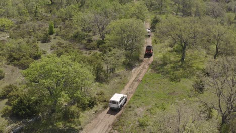 una hermosa vista de los coches land rover en el corazón de la naturaleza