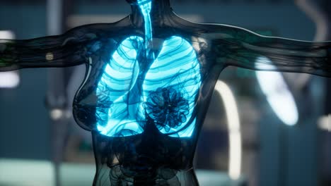 examen radiológico de pulmones humanos en laboratorio