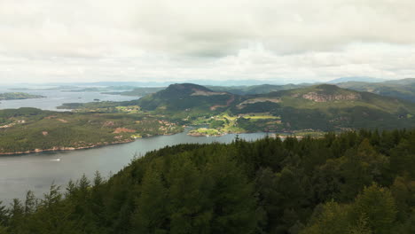 Abetos-Sobre-Montañas-Forestales-Cerca-De-Fister,-Stavanger-En-Hjelmeland,-Noruega