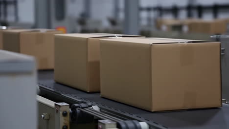 cardboard boxes moving on a conveyor belt in a logistics center