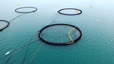 imágenes aéreas de granjas de pesca de salmón en noruega