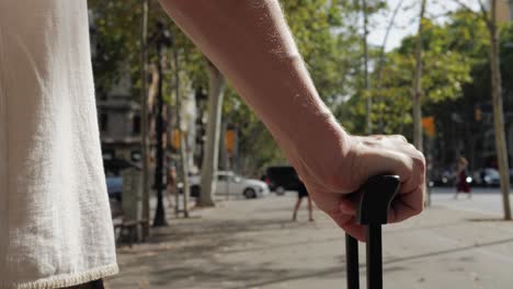 person pulling a suitcase on a city street