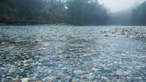 clear water river with many colorful stones on the ground in jungle of new zealand during foggy day