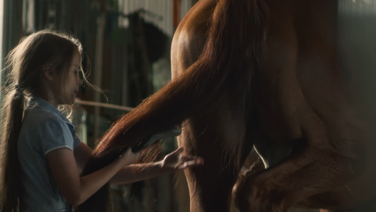 Girl and Horse in Stable