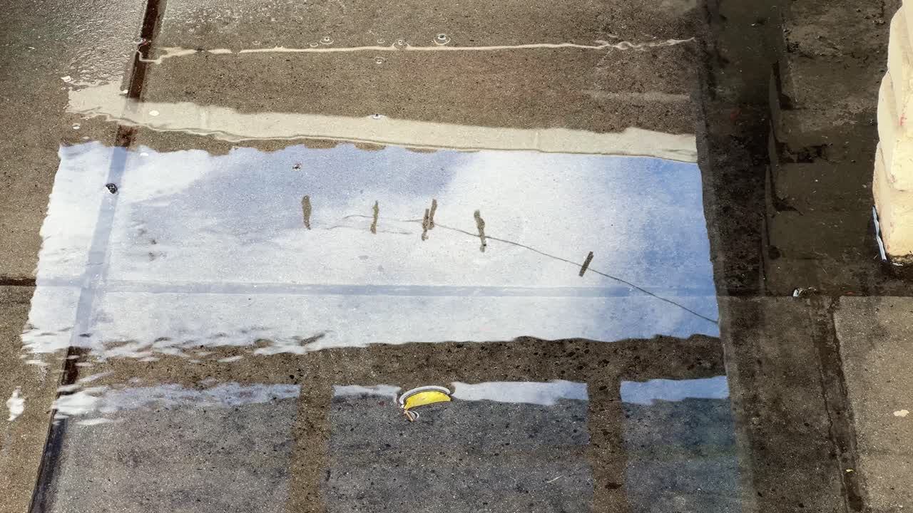 Water puddle reflection in a yard in a suburban home in Cape Town, South Africa.