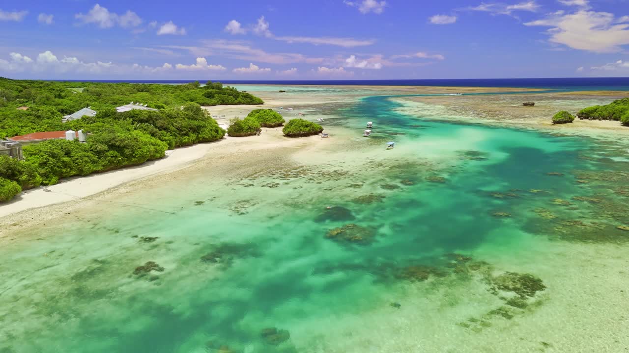 Breathtaking aerial drone shot over a pristine tropical island. Clear turquoise water flows through lush green mangroves, creating a stunning natural landscape. Ideal for travel or nature projects
