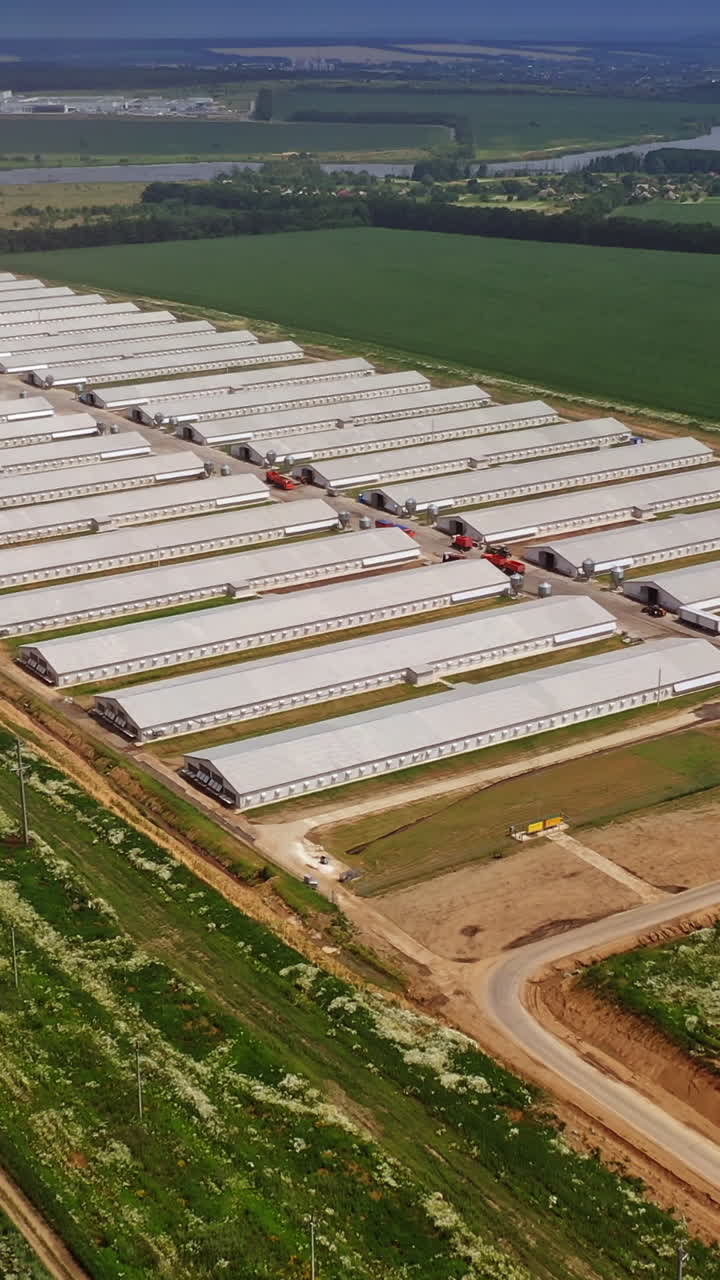 Aerial view of modern chicken houses. New construction area for livestock on the green fields background in rural place. Vertical video