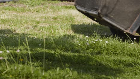 lawn mower passing over sunny meadows in the backyard