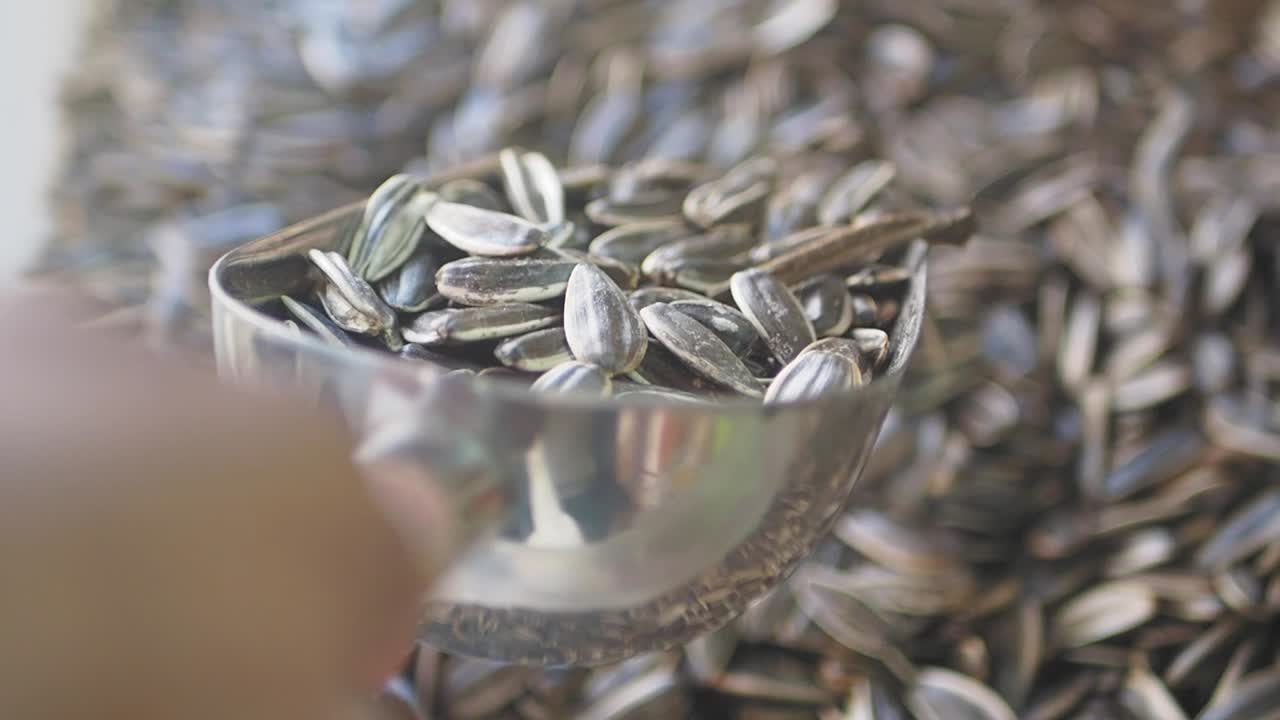 금속 스쿠프에 넣은 꽃 씨