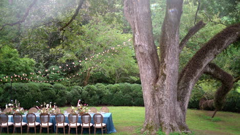 Baje-Desde-Un-árbol-Gigante-Hasta-Una-Hermosa-Mesa-Larga-En-Una-Recepción-De-Bodas-Bajo-Luces-De-Cuerda