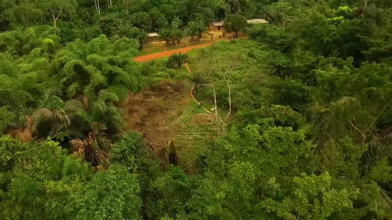 hombre africano volando su dron hacia atrás a través del bosque, pasando por ramas y árboles de la selva tropical, en un día nublado, en nanga eboko, haute-sanaga, sur de camerún