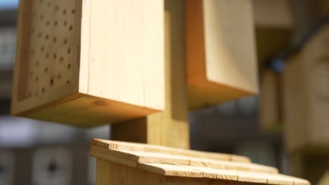 Slow-motion-close-up-shot-of-a-bees-house