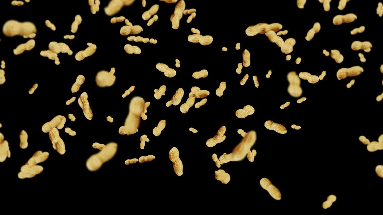 Molti arachidi che volano su sfondo nero. Arachidi crude. Arachidi con guscio. Cibo biologico sano. Animazione 3D in loop di semi che ruotano.