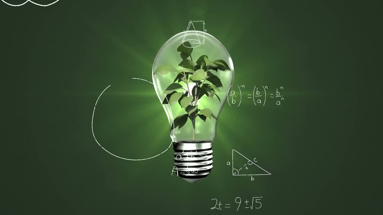 녹색 빛의 반점에 대한 전구 내부의 식물에 대한 수학적 방정식의 애니메이션