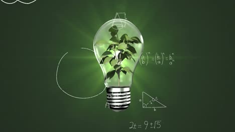 animación de ecuaciones matemáticas sobre la planta dentro de una bombilla eléctrica contra el punto de luz verde