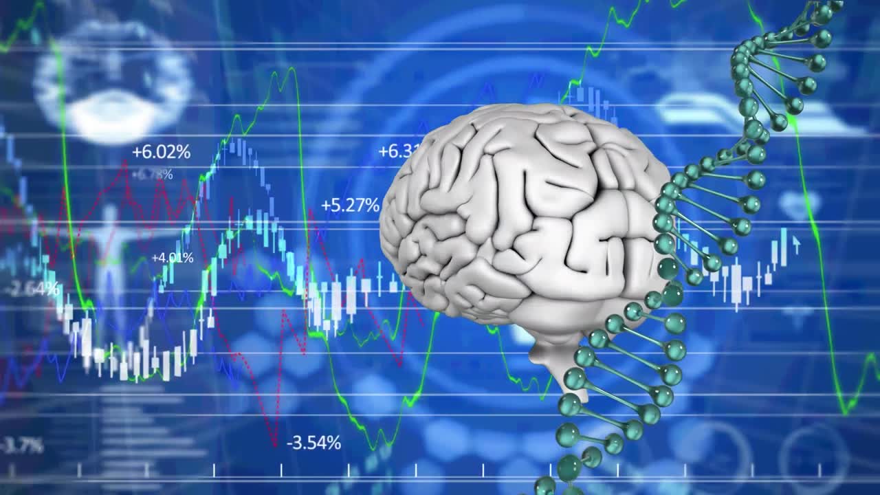 Human brain and dna spinning against financial data processing on blue background