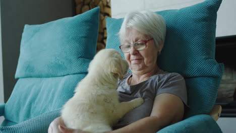 Una-Linda-Anciana-Descansa-En-Una-Silla-Con-Un-Cachorro-En-Sus-Brazos.-Comodidad-En-El-Hogar-Y-Vejez-Segura