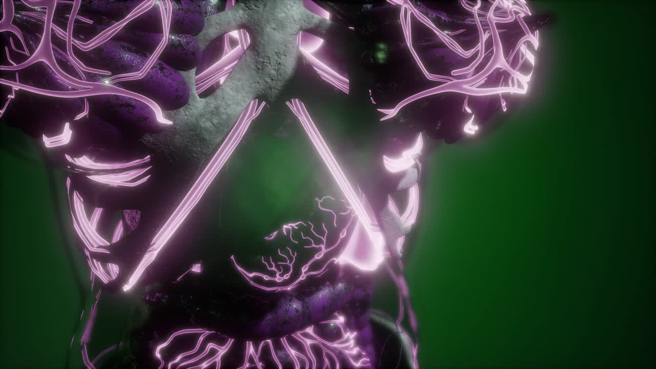 빛나는 혈관으로 된 인체