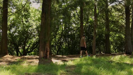 man walking through a shadowy forest with sun penetrating through leaves