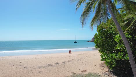 4K-Drone-Video-through-the-palm-trees-surrounded-by-vast-green-rainforest-onto-the-white-sand-beach-and-blue-ocean-where-a-couple-are-walking-in-Magnetic-Island,-Queensland-Australia