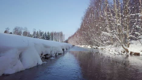 forest icy river during winter season in low angle drone shot