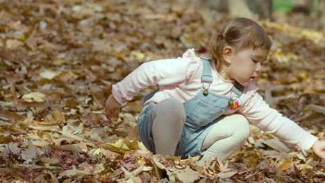 cute toddler girl in jumper playing fallen autumn leaves on the ground in the park