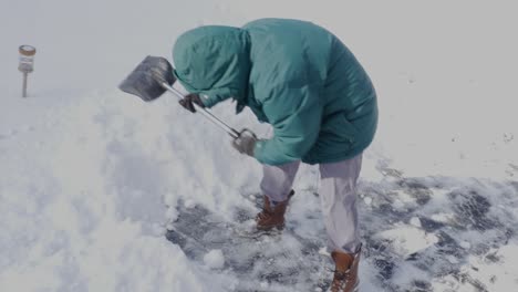 Palear-Nieve-En-Invierno