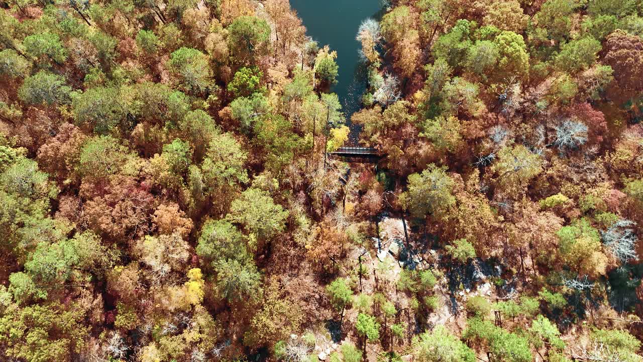 autumm 숲 uptop 보기 오후에 호수