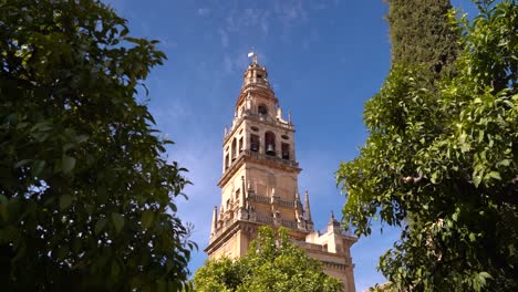 left to right pan in between trees with old church tower against blue sky