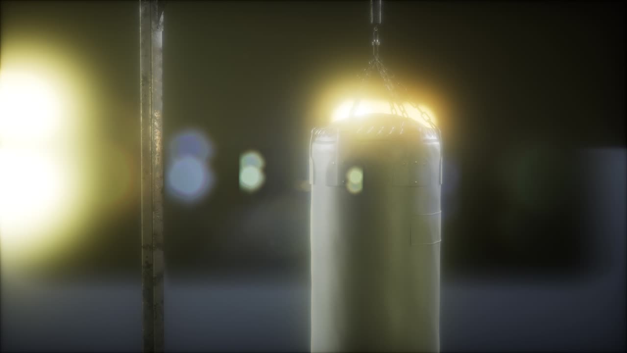 권투 또는  ⁇  권투 스포츠를 위한 권투 가방