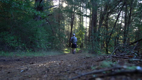 Low-angle-ground-shot-of-man-hiking-down-a-trail-with-trekking-poles-and-a-backpack-on