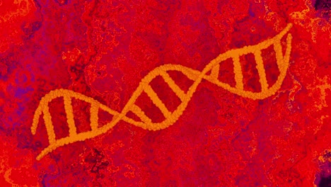 animación de la cadena de adn sobre un fondo rojo