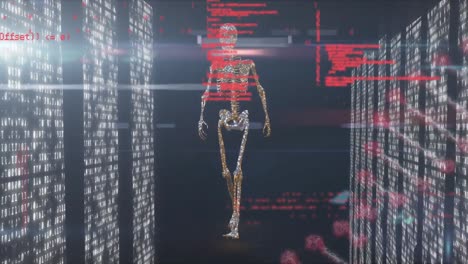 Animation-Von-Daten,-Licht-In-Servern-Und-Skelett