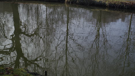 Wide-shot-of-a-small-river-with-trees-reflecting-in-the-water